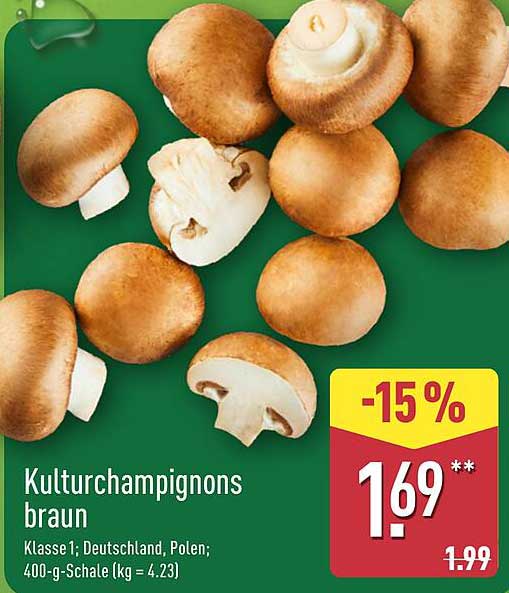 Kulturchampignons braun