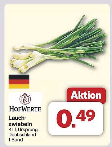 Lauchzwiebeln - Frisch aus Deutschland