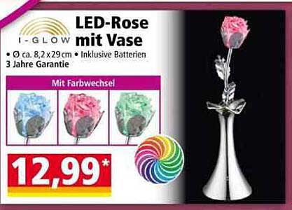 LED-Rose mit Vase