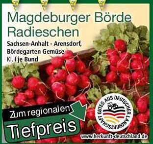 Magdeburger Börde Radieschen