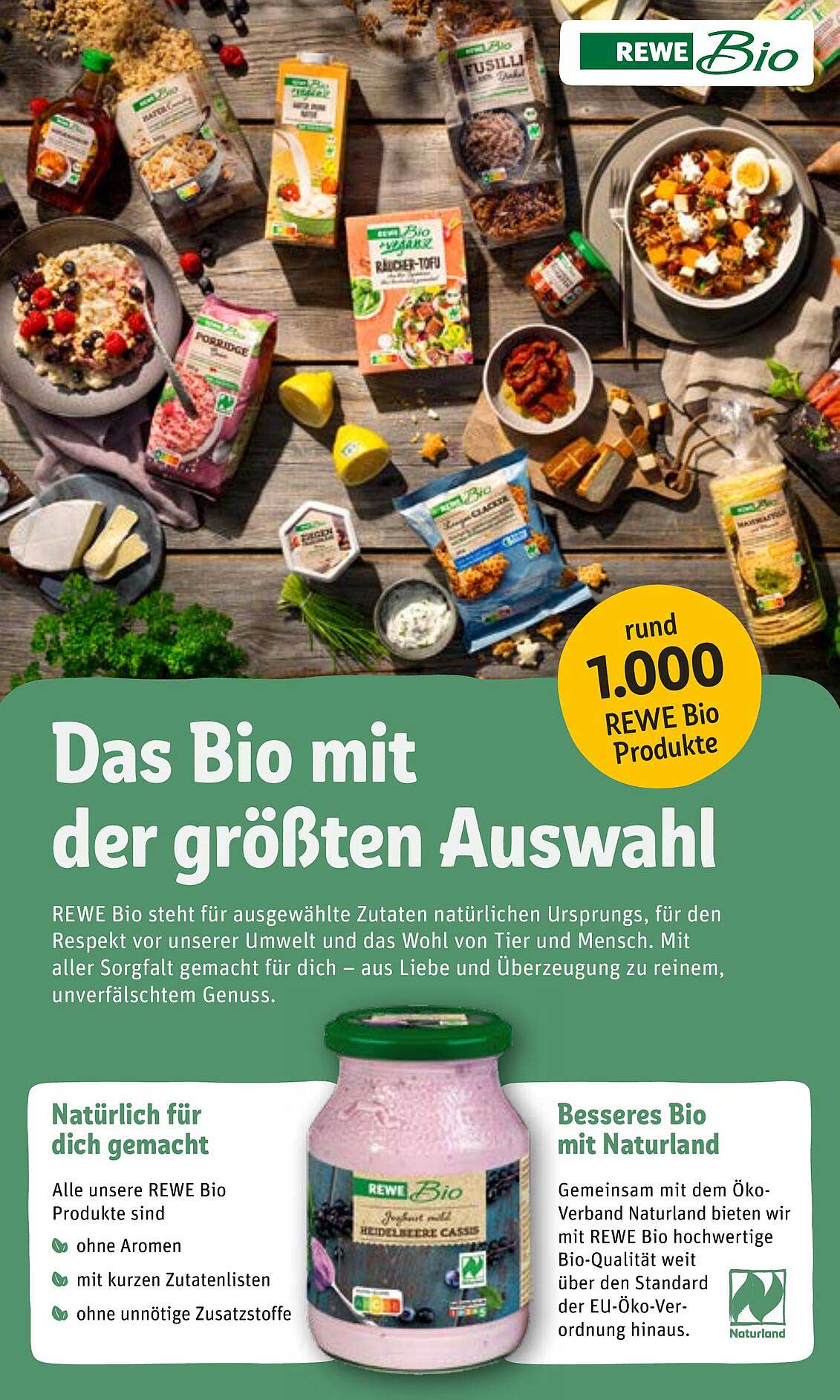 REWE Bio Joghurt mit Heidelbeere Cassis