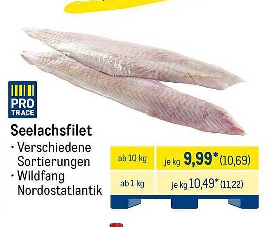 Seelachsfilet - Wildfang aus dem Nordostatlantik