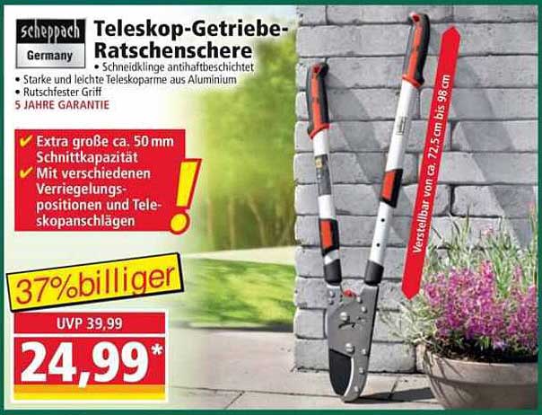 Teleskop-Getriebe-Ratschenschere
