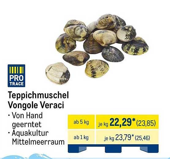 Teppichmuschel Vongole Veraci - Frisch vom Mittelmeer