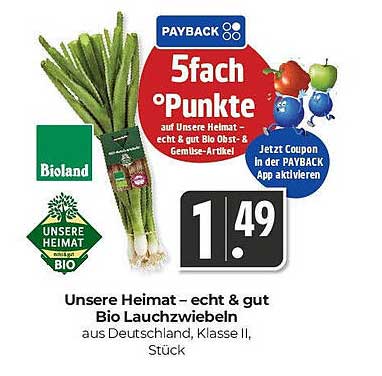 Unsere Heimat – echt & gut Bio Lauchzwiebeln aus Deutschland, Klasse II, Stück