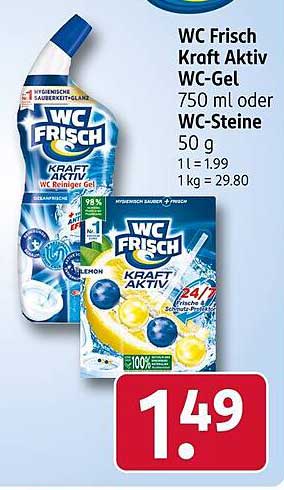 WC Frisch Kraft Aktiv WC-Gel 750 ml oder WC-Steine 50 g