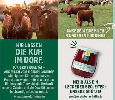 Wir lassen die Kuh im Dorf – Beste Qualität aus Milch vom eigenen Landhof