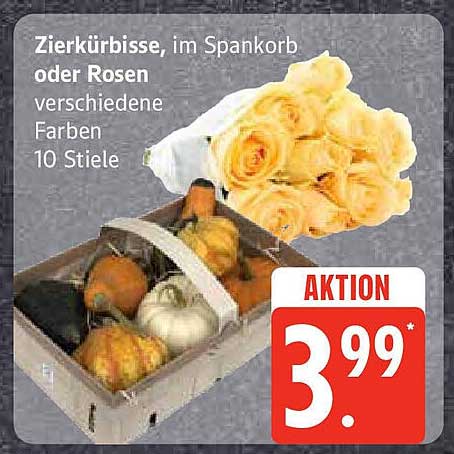 Zierkürbisse im Spankorb oder Rosen – verschiedene Farben, 10 Stiele