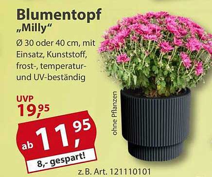 Blumentopf „Milly“