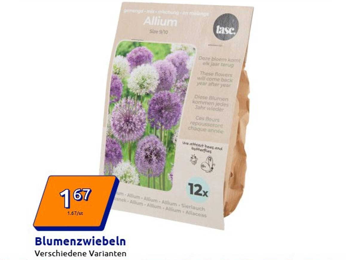 Blumenzwiebeln - Verschiedene Varianten