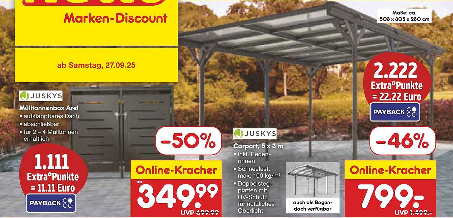 Carport 5 x 3 m - Online-Kracher bei Netto