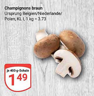 Champignons braun
