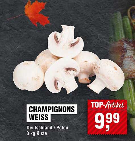CHAMPIGNONS WEISS 3 kg Kiste