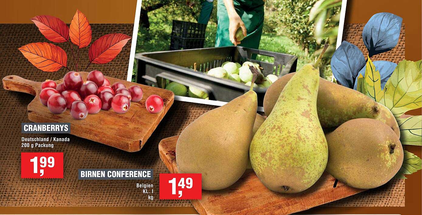 Cranberrys 200 g und Birnen Conference 1 kg