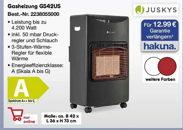 Gasheizung GS42US