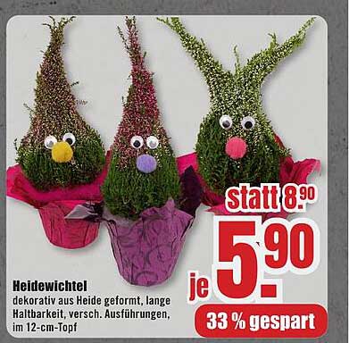 Heidewichtel dekorativ aus Heide geformt, lange Haltbarkeit, versch. Ausführungen, im 12-cm-Topf