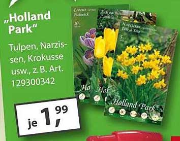 "Holland Park" Blumenzwiebeln