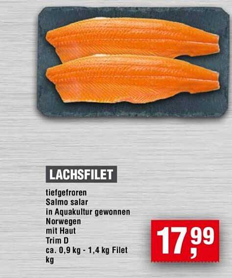 Lachsfilet tiefgefroren – Salmo salar aus Norwegen