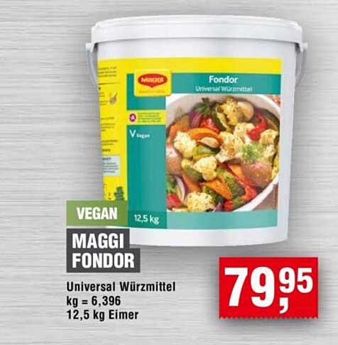 MAGGI Fondor Universal Würzmittel 12,5 kg Eimer
