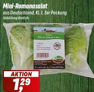 Mini-Romanasalat aus Deutschland, Kl. I, 3er Packung