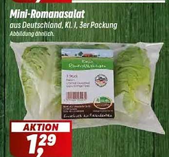 Mini-Romanasalat aus Deutschland, KL I, 3er Packung