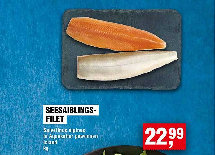 SEESAIBLINGS-FILET