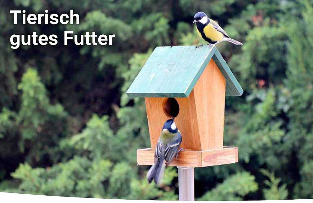 Tierisch gutes Futter