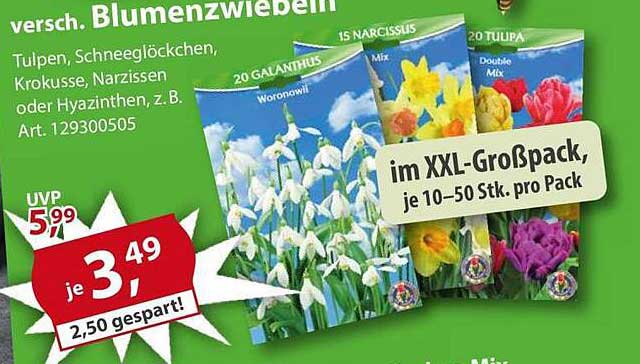 versch. Blumenzwiebeln im XXL-Großpack