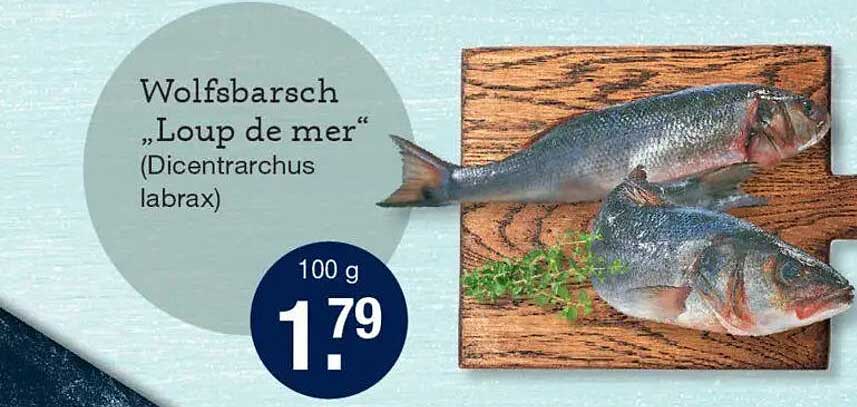 Wolfsbarsch „Loup de mer“ (Dicentrarchus labrax)