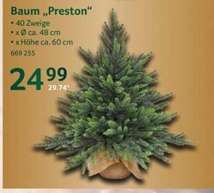 Baum „Preston“