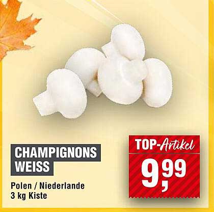 Champignons Weiß 3 kg Kiste aus Polen/Niederlande