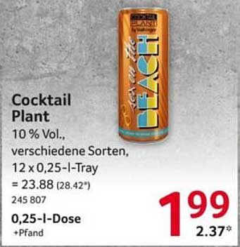 Cocktail Plant, 10 % Vol., verschiedene Sorten, 12 x 0,25-l-Tray