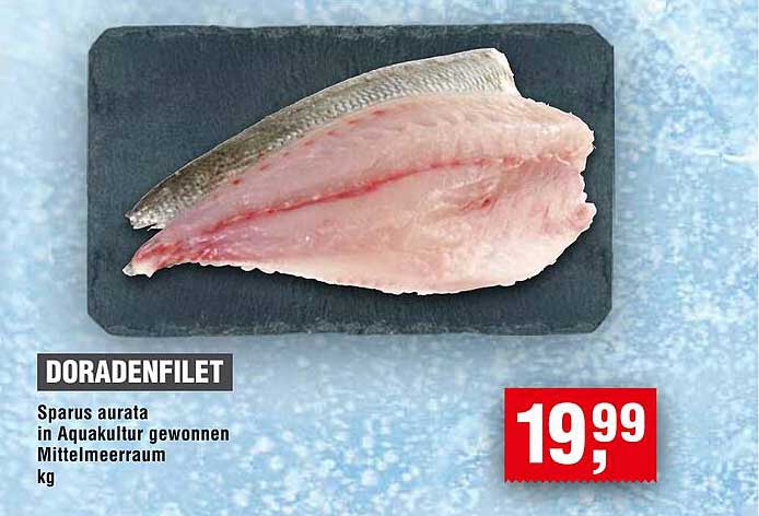 DORADENFILET - Sparus aurata in Aquakultur gewonnen