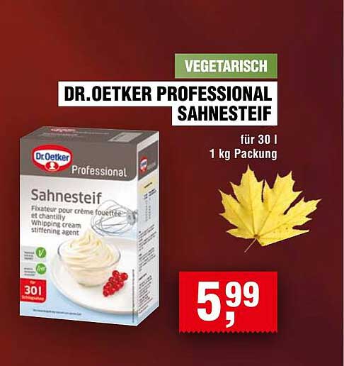 Dr.Oetker Professional Sahnesteif 1 kg Packung