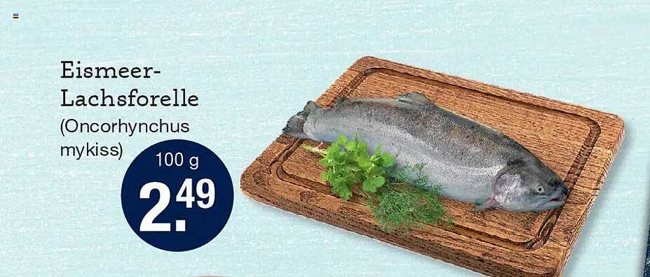 Eismeer-Lachsforelle (Oncorhynchus mykiss)