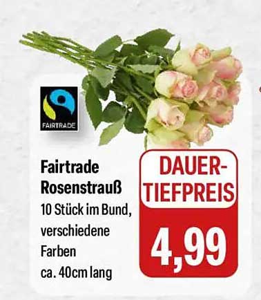 Fairtrade Rosenstrauß - 10 Stück im Bund, verschiedene Farben, ca. 40cm lang