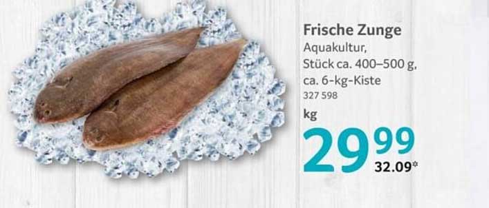 Frische Zunge - Aquakultur, Stück ca. 400–500 g, ca. 6-kg-Kiste