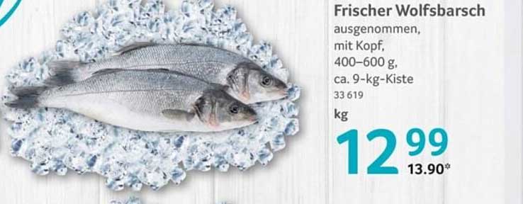 Frischer Wolfsbarsch, ausgenommen, mit Kopf, 400-600 g, ca. 9-kg-Kiste