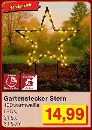 Gartenstecker Stern mit 100 warmweißen LEDs