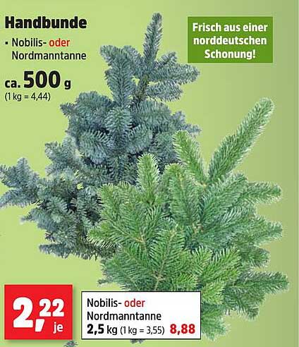 Handbunde - Nobilis- oder Nordmann-Tanne 500 g