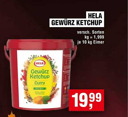 HELA Gewürz Ketchup - Verschiedene Sorten im 10 kg Eimer
