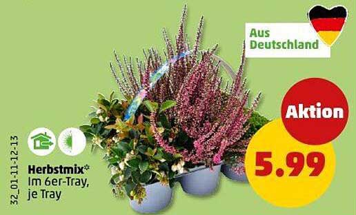 Herbstmix* im 6er-Tray, je Tray