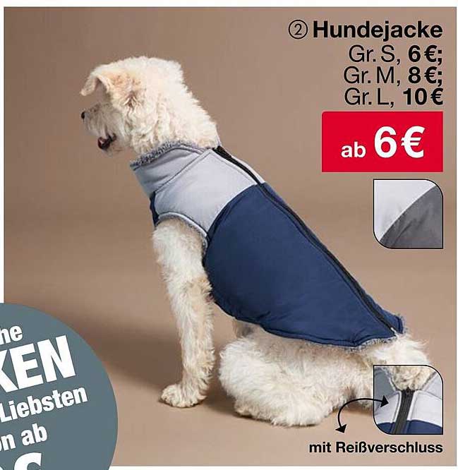 Hundejacke - Schutz und Komfort für Ihren Vierbeiner