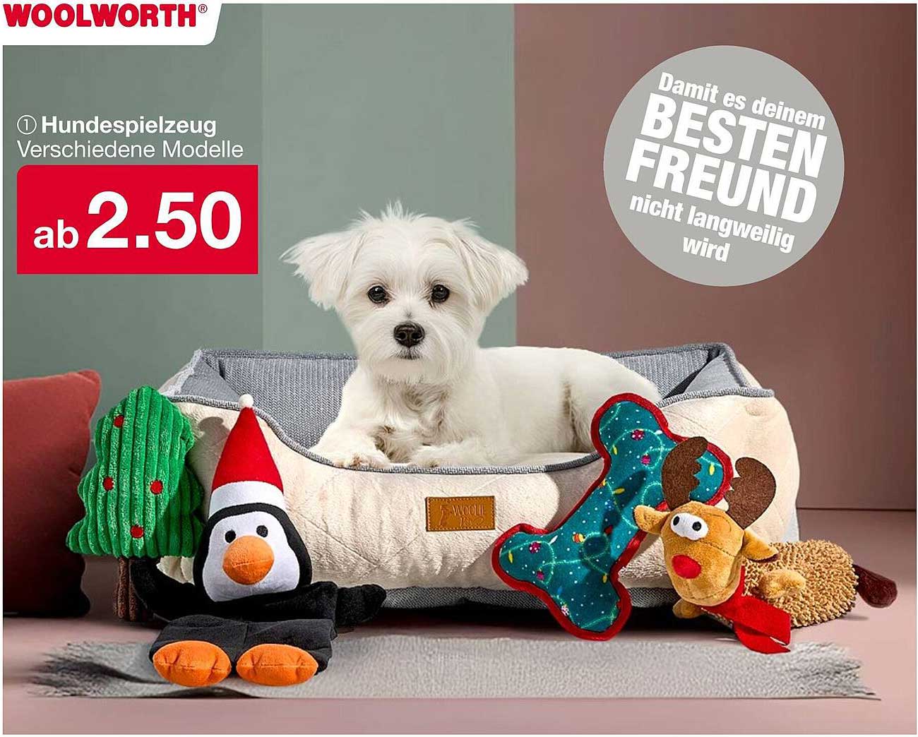 Hundespielzeug - Verschiedene Modelle ab 2,50