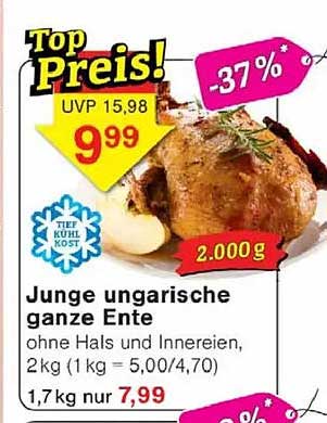 Junge ungarische ganze Ente