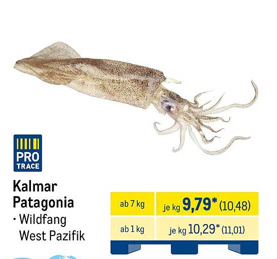 Kalmar Patagonia - Wildfang aus dem Westpazifik