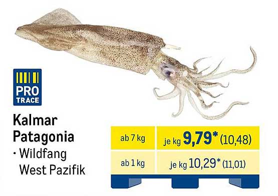 Kalmar Patagonia - Wildfang West Pazifik