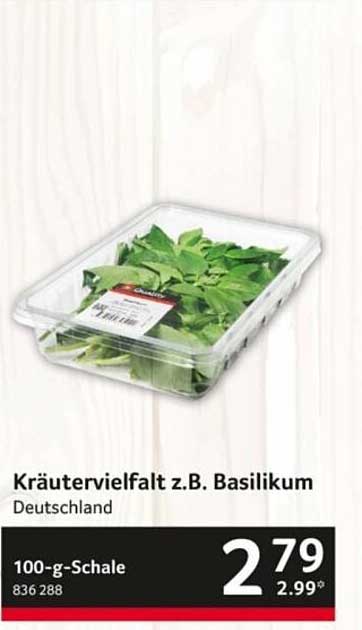 Kräutervielfalt z.B. Basilikum