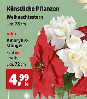 Künstliche Pflanzen - Weihnachtsstern oder Amaryllis-Stängel