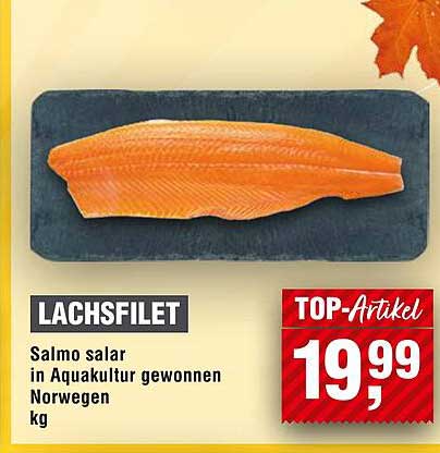Lachsfilet - Salmo salar aus Aquakultur